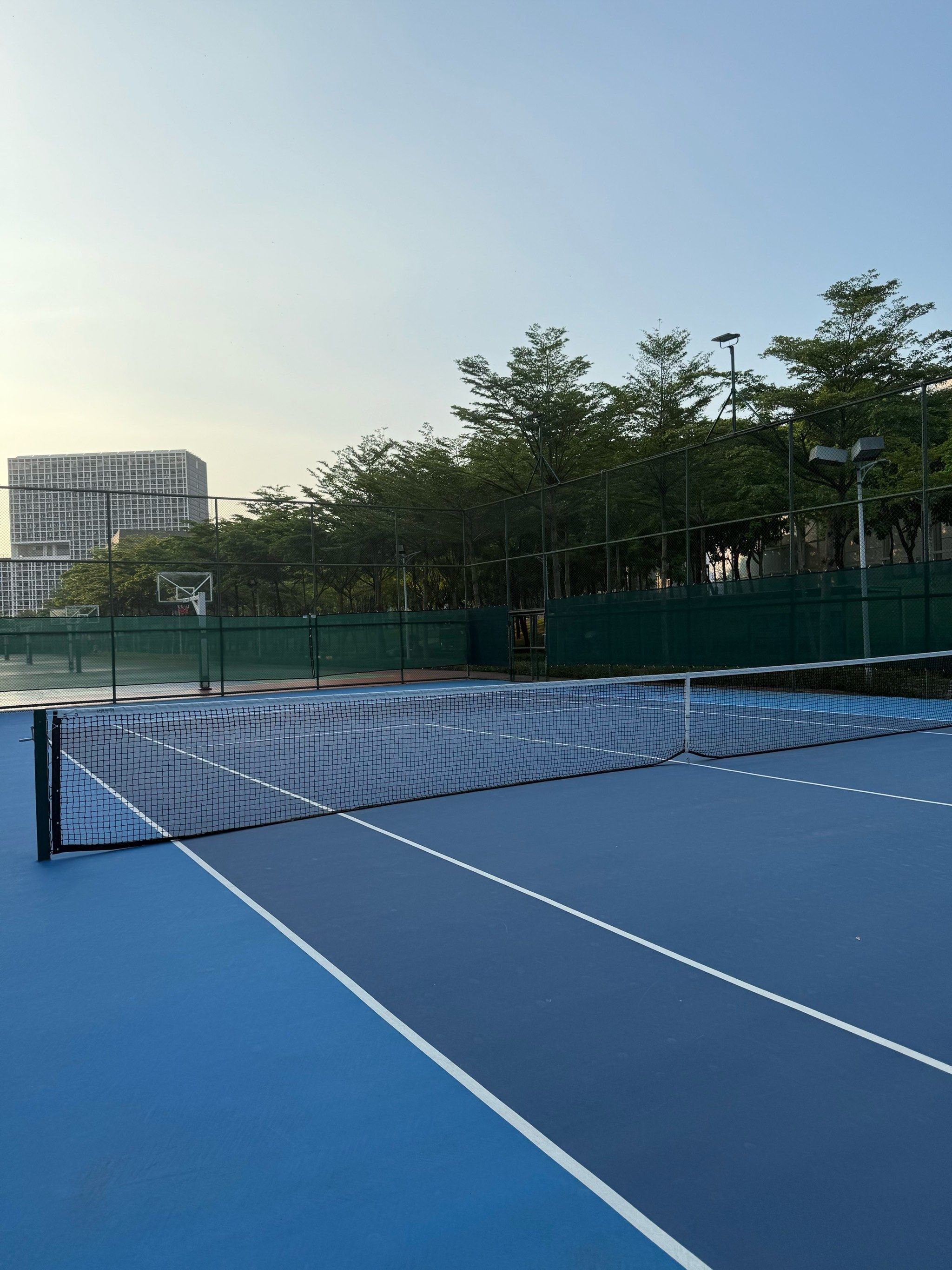 纽约尼克斯 纽约尼克斯